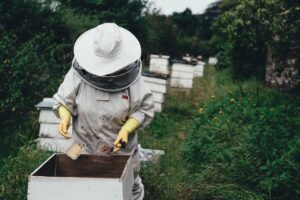 A Beekeeper